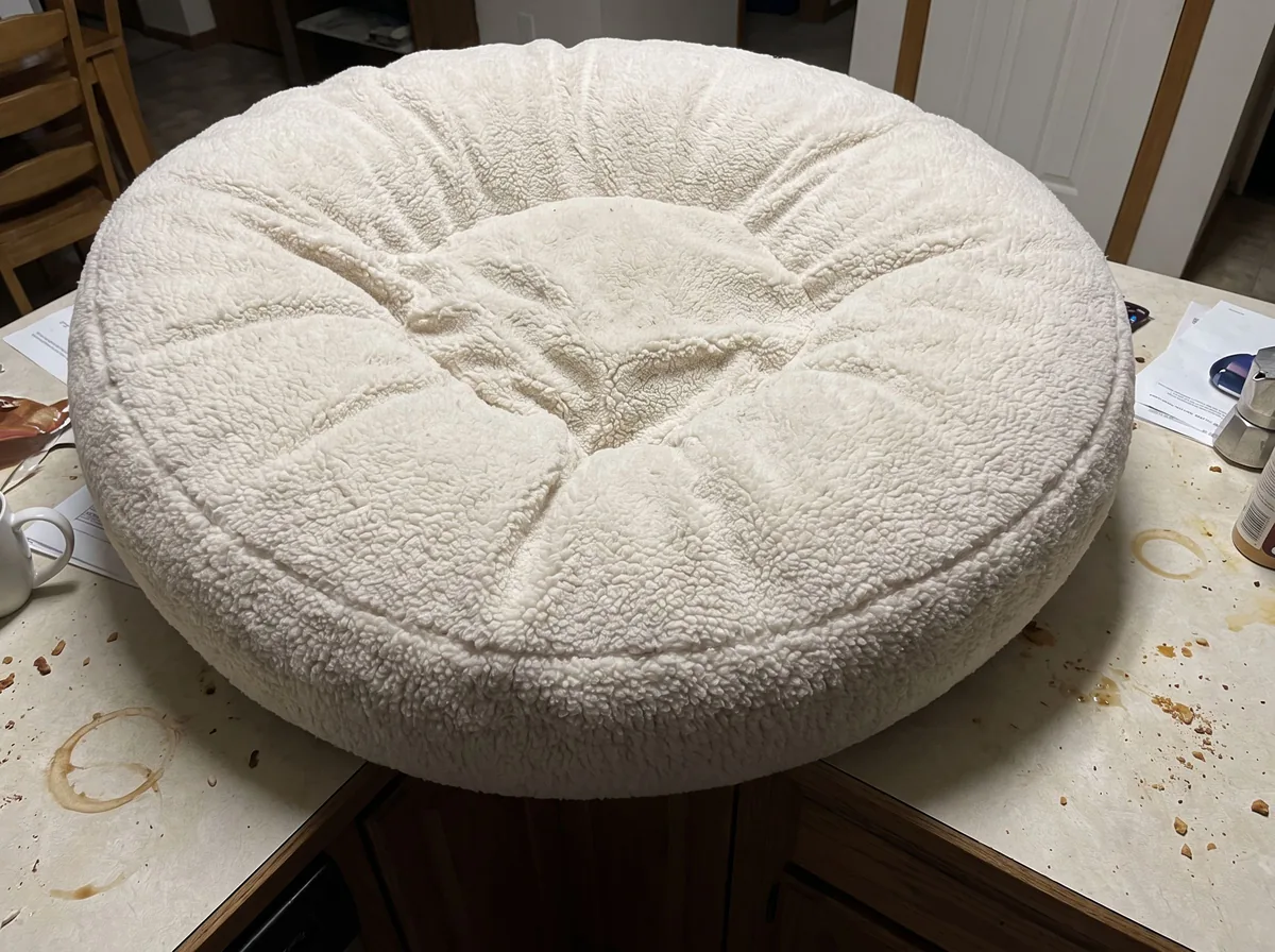 Phone photo before AI Pet Product Photography